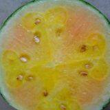 Watermelon F1 Hybrid Sweet Melon Seeds Fruit Seeds No.89 thumbnail-2