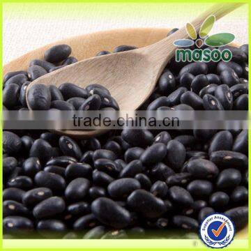 2014 Crop Dry Black Kidney Beans or Black Beans photo-2