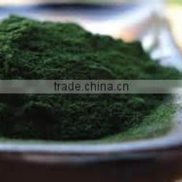 Organic Spirulina Powder for export