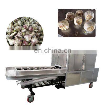 Garlic Stem and Root Cutter / Fresh Garlic Root Concave Cutting Machine / Garlic Processing Plant