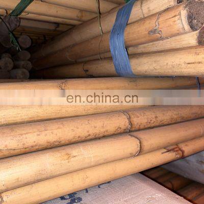 Rattan Manau With Peel Grade AB Grade ABC 3meter 4meter Manau Rattan Furniture Material Indonesian Malaysia Furniture Part photo-2