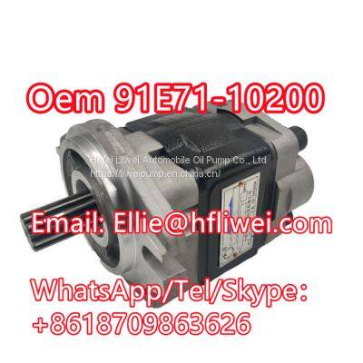 Since 1956 Forklift Spare Parts Hydraulic Oil Pump 91E71-10200 photo-3