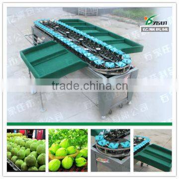 automatic weight sorting machine / dragon fruit grading machine
