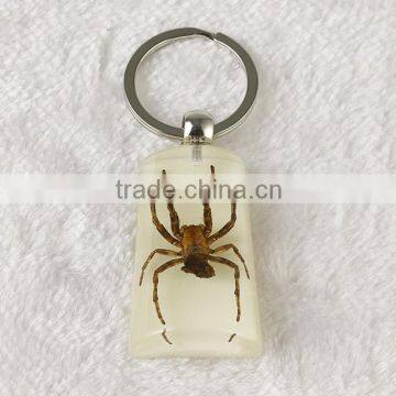 Real Butterfly Spider Wholesale Key Chain photo-2