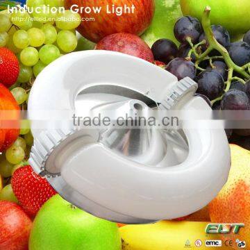 induction plant grow light item type full spectrum led grow lights