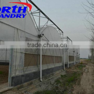 agricultural poly film greenhouse