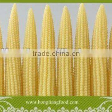 top quality canned baby corn whole