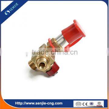 Fuel System Spare Parts Gas Precharge Valve photo-5