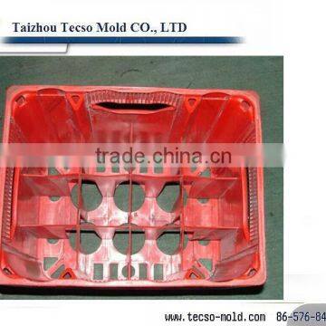 Professional plastic bee case /beer bottle mould supplier in China