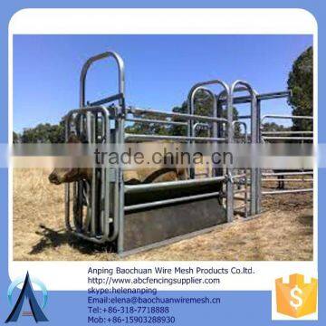 Rot Proof / Tempered Glass sheep panels