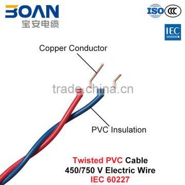 Twisted PVC Cable, Electric Wire, 450/750 V, Twisted Cu/PVC (IEC 60227)                        
                                                Quality Choice