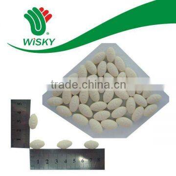 oval shaped pressed candy