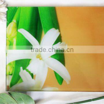 New design kitchen index chopping board cutting board