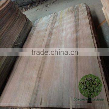 4*8 0.30mm formica veneer natural wood face veneer wood veneer wood for plywood