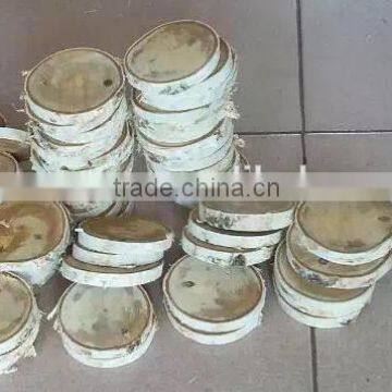 China Wholesale Birch Wood Log for Showcase Decoration photo-2
