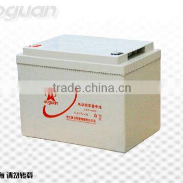 12V80Ah (6-EVFJ-80) EV GEL Battery