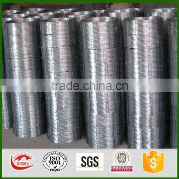 Best quality with cheap price galvanized razor barbed wire/Blade Barbed Wire