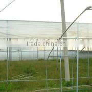 professional high quality greenhouse plastic film on roll