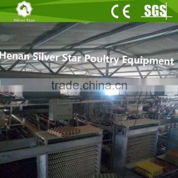 Chicken egg production equipment poultry cage