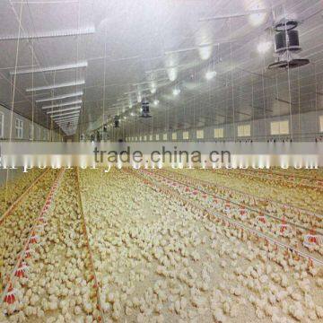 chicken broiler rearing cage feeder