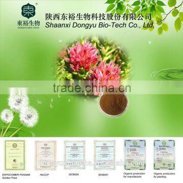 Rhodiola rosea extract 3% 5% rosavins pure and natural with best quality and competitive price