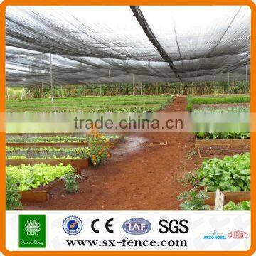 Vegetables Shade Net