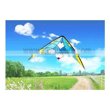 Dual Line Delta Stunt Kites - Curved Edge Kites