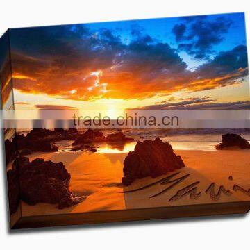 Matte 100% Cotton inkjet Canvas roll Water Resistant 380 gsm
