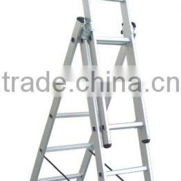 Combination Ladder