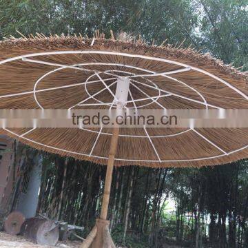 SEAGRASS UMBRELLA & THATCH UMBRELLA & PALM LEAF UMBRELLA - CHEAP PRICE