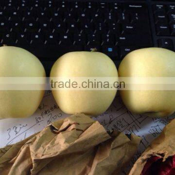 Fresh Apples photo-3