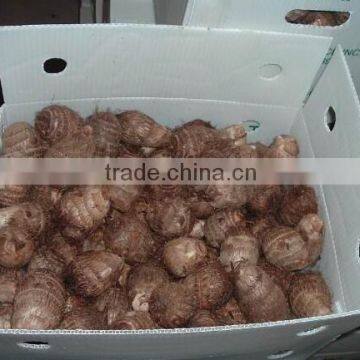 taro buyers in the middle east