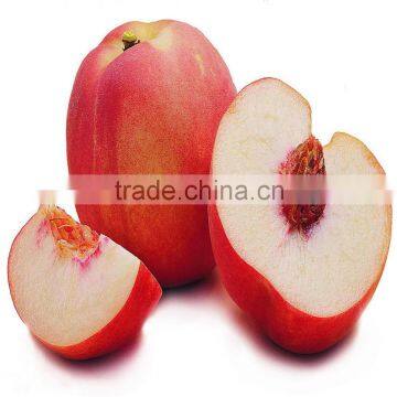White Peach Juice Concentrate