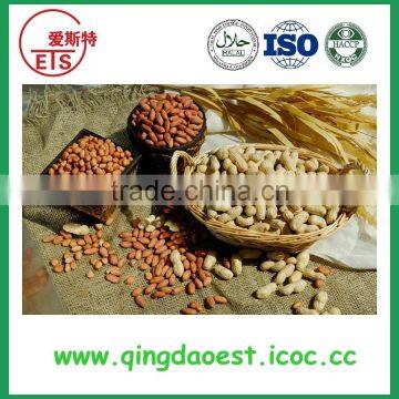 Red Skin Pure Good Quality Peanut Kernel With High Quality photo-3