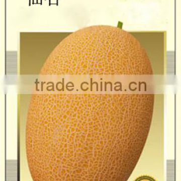 Hybrid F1 Golden Yellow Sweet Hami Melon Seeds Japanese Cantaloupe Melon Seeds-High Mountain No.1