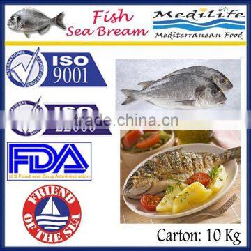 Fresh fish Sea Bream. Whole shape Sea Bream. Premium Quality. sea bream,10 Kg