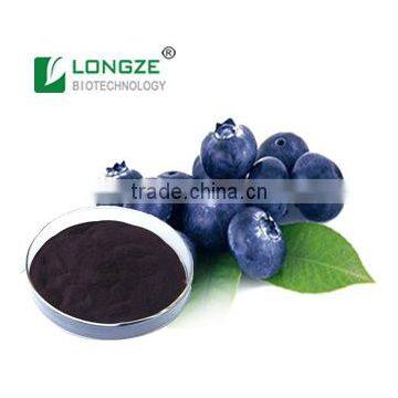 hot sale and best quality powder bilberry Fruit Powder with Anti-oxidant Anthocyanidins 5-25%