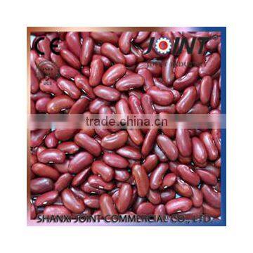 new crop Dark red kidney bean