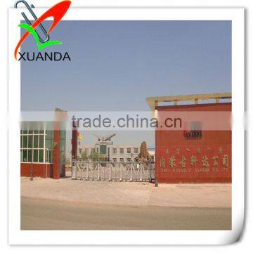 Orgainc Pumpkin Seeds for Roasting photo-4