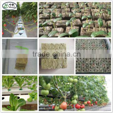 Rock Wool Hydroponic Rockwool Cubes 15*15*15cm