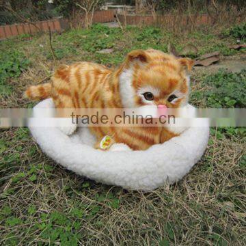 stuffed animal lovely plush cute taxidermy figurine kitty