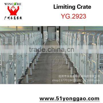 2.0mm Galvanized Pipe Pig Limit Crate Swine Gestation Cage for Pig Farm Equipment photo-4