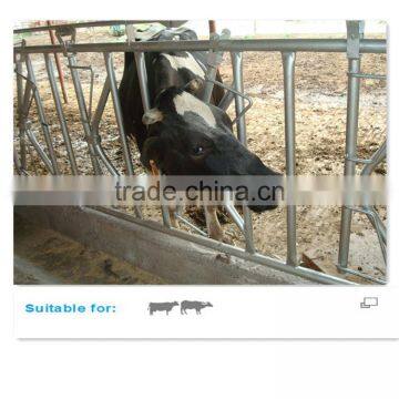 Cow Freestall Barn Galvanized Fence Panels photo-6