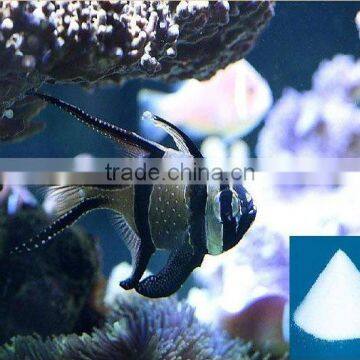 Blue treasure edible refined aquaculture sea salt ornamental fish