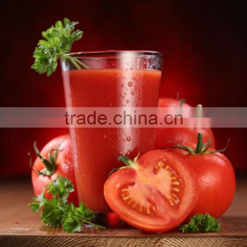 large capacity Tomato Pulping Machine