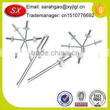 China Manufacturer Solid Anodized 304 Stainless Steel Blind Rivets photo-3