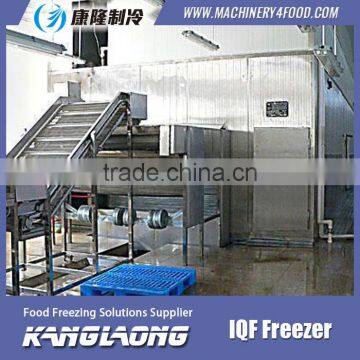 High Quality IQF Frozen Fruit Mango Machine With Good Price photo-5