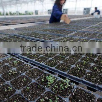 50 cell, 105 cell plastic seedling tray