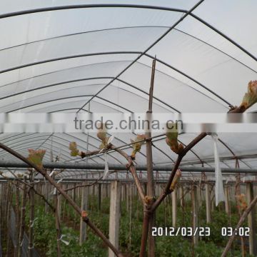 Anti fog anti dust Coextruded PE Cover Film PE film for grape greenhouse