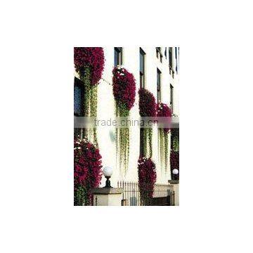 SOL 2015 NEW DESIGN Pots Planters Plant Potting Compost Bins photo-3